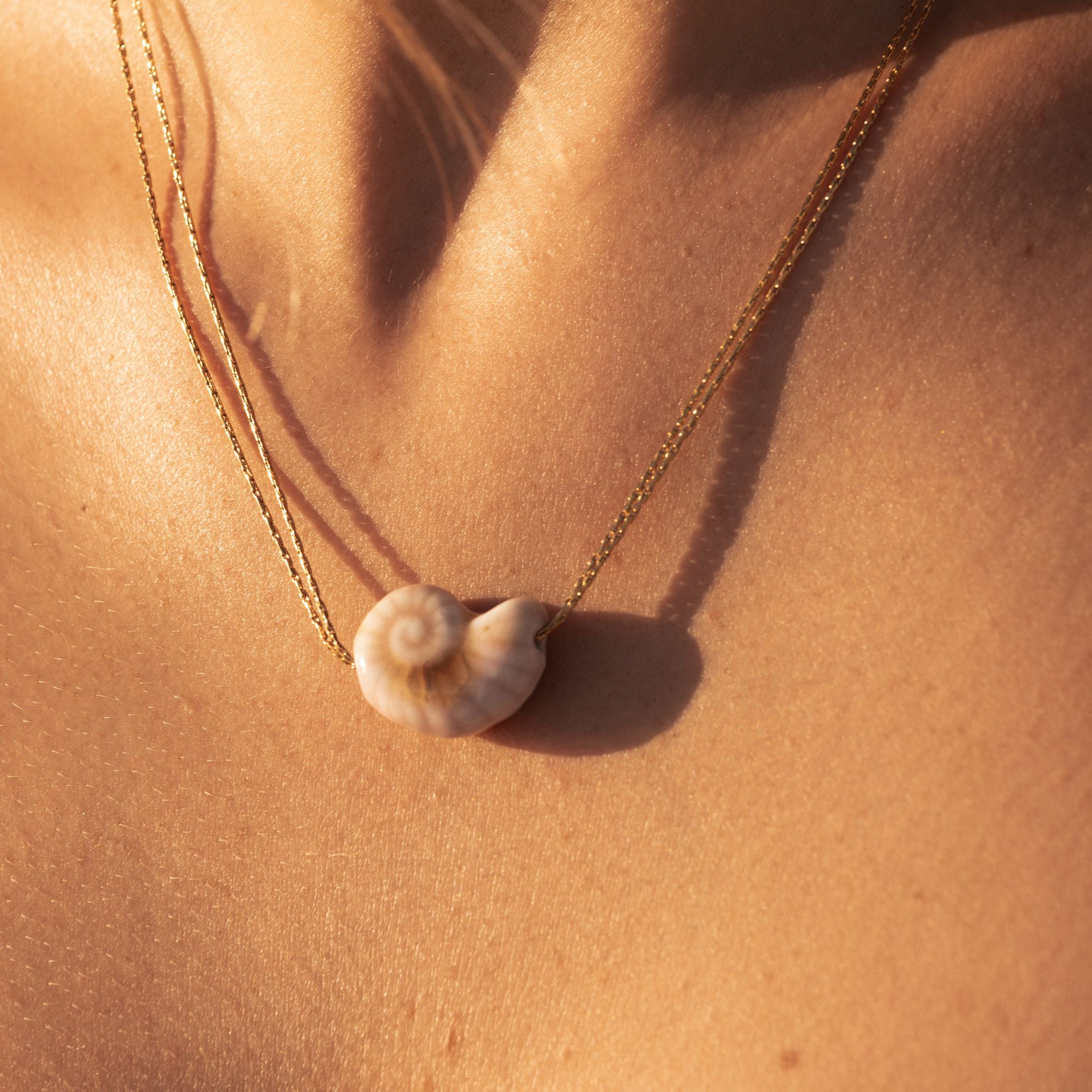 Spiral Seashell Necklace