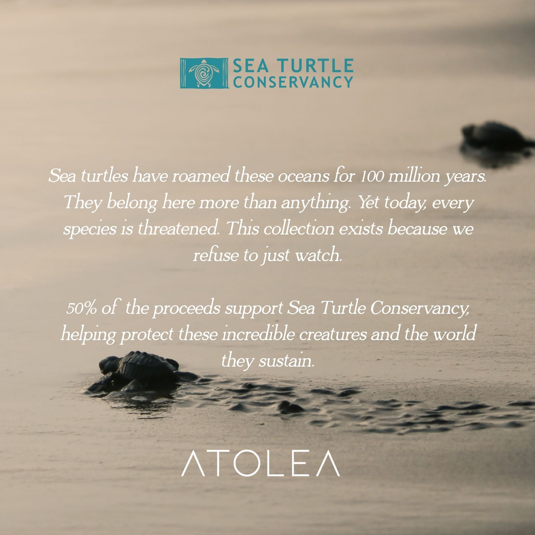 Turtle Guardian Bracelet