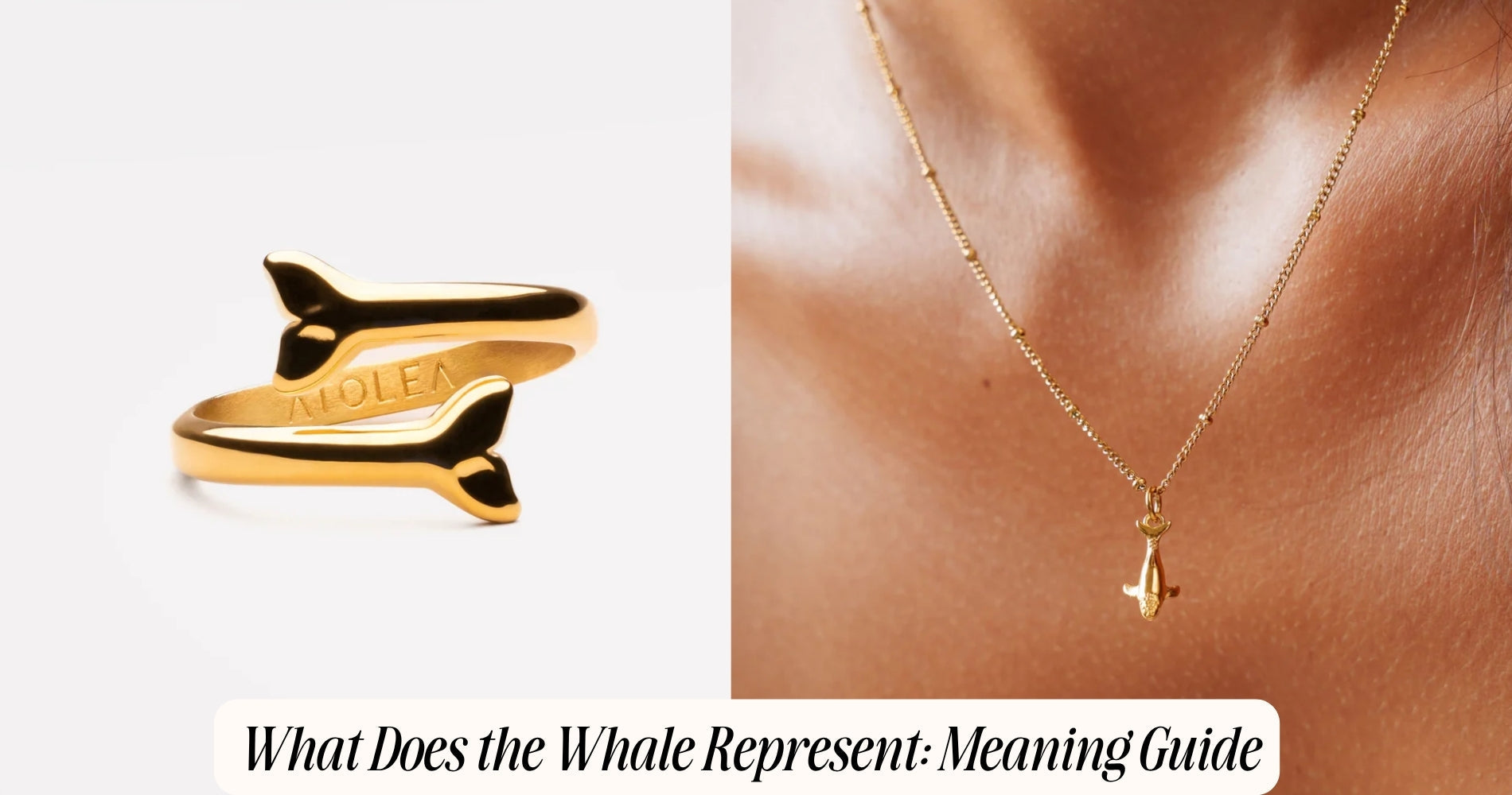 what does the whale represent