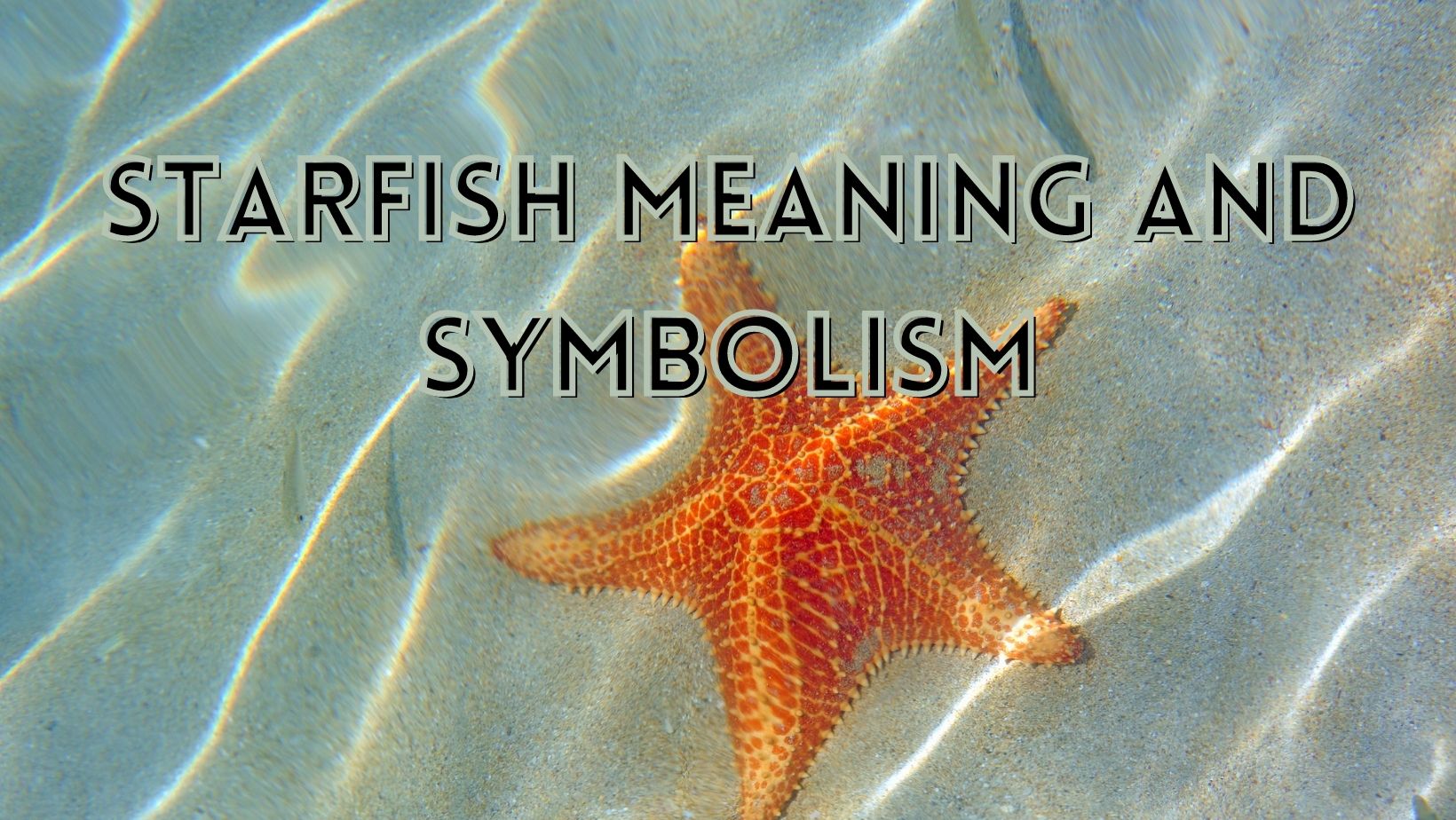 Starfish meaning