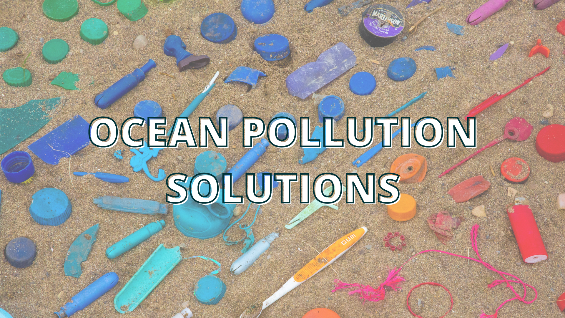 15 Solutions To Fight Ocean Pollution