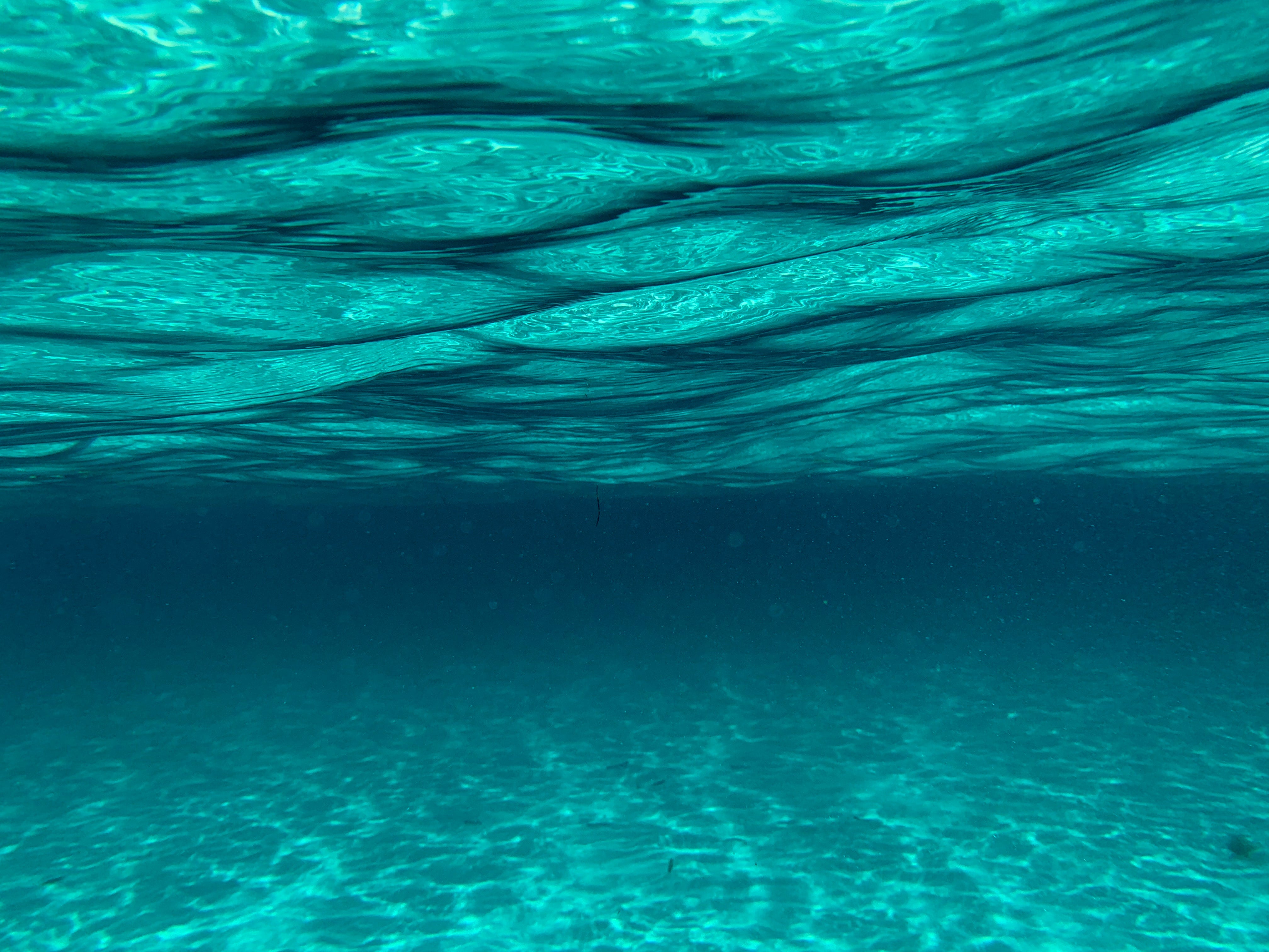 Why Is The Ocean Blue But Water Clear?