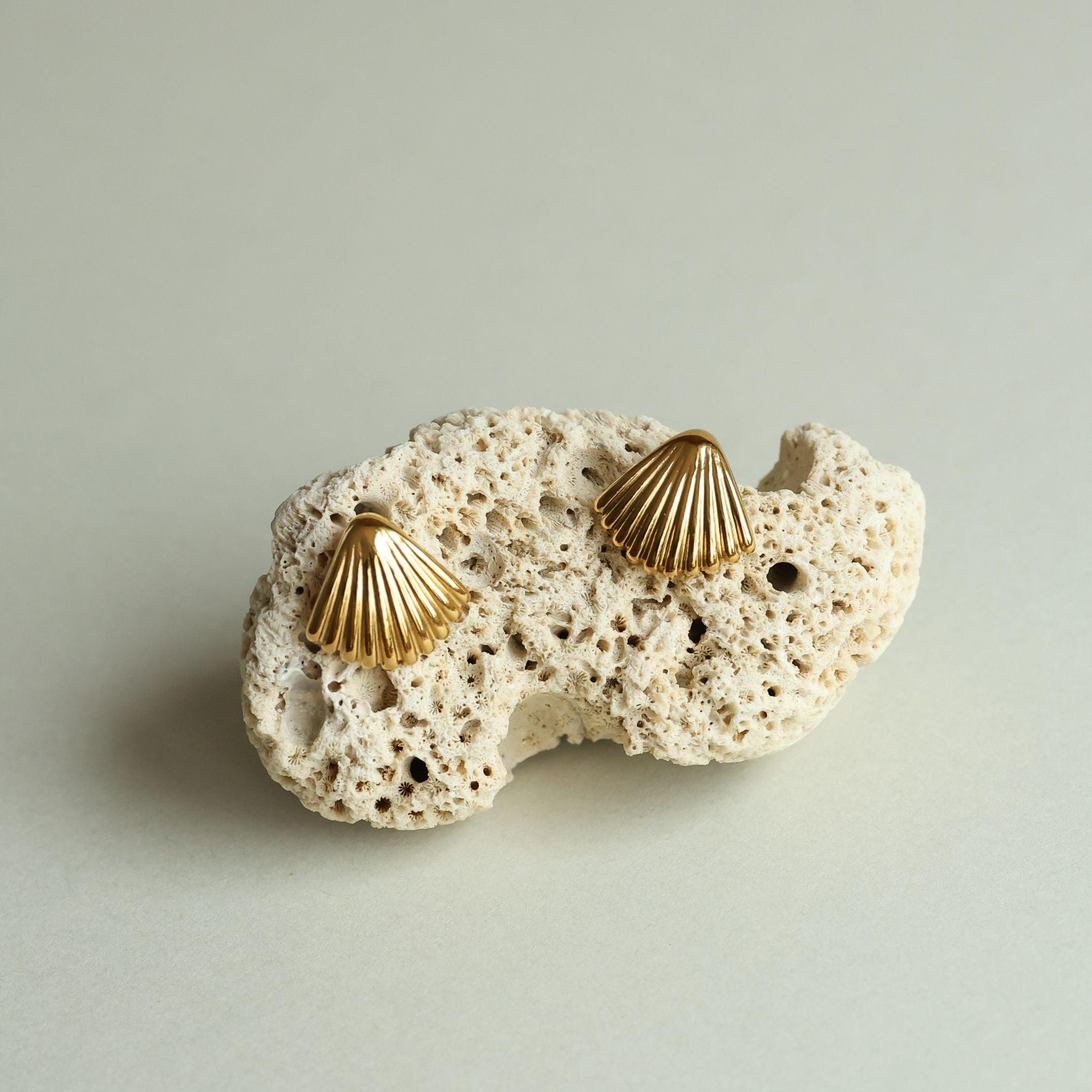 Beach Shell Earrings