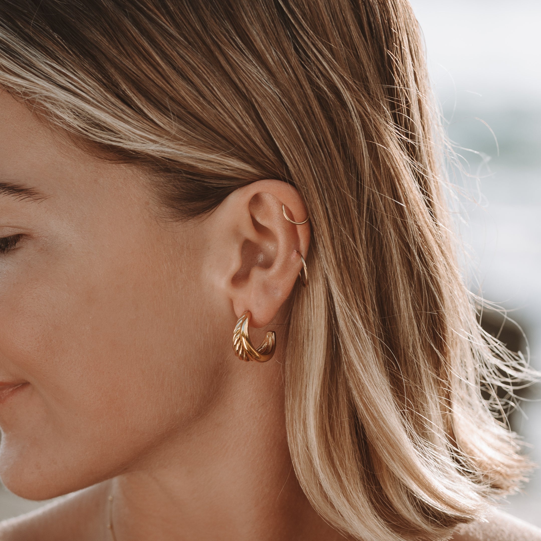 Double Gold Earrings