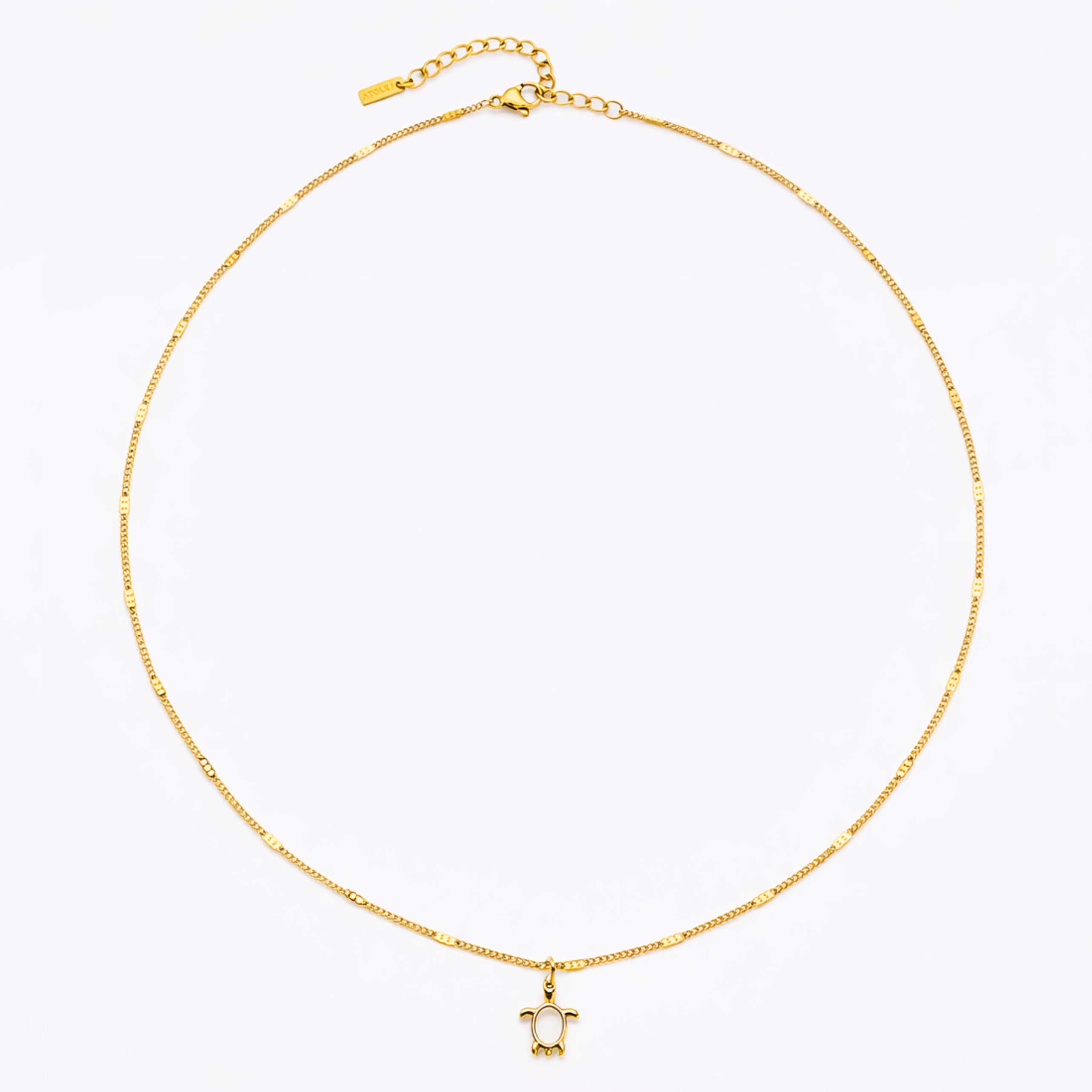 Turtle Guardian Necklace