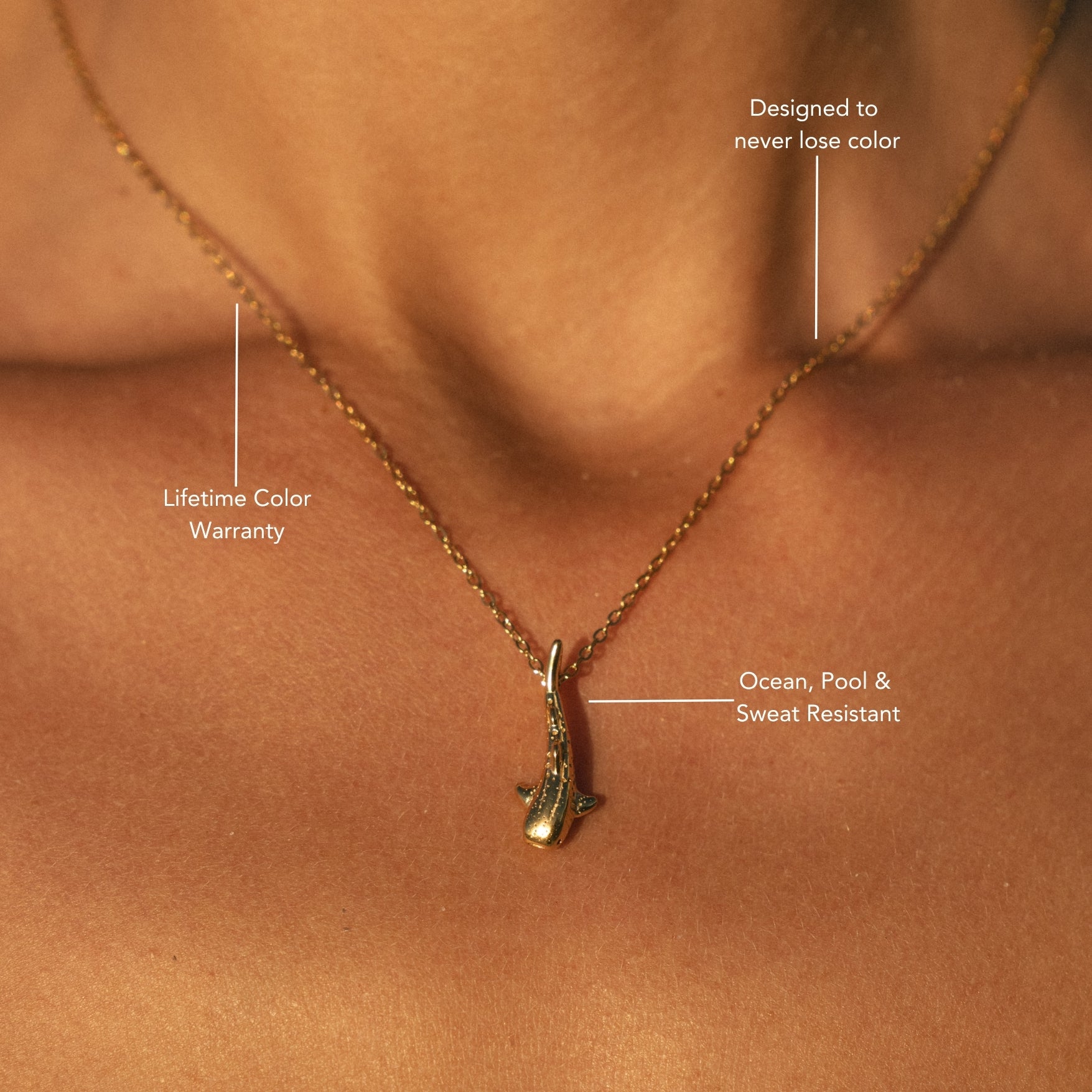 Whale Shark Necklace Guide