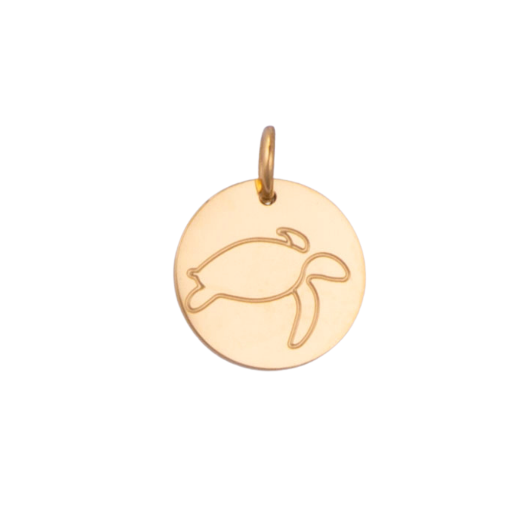 Sea Turtle Charm